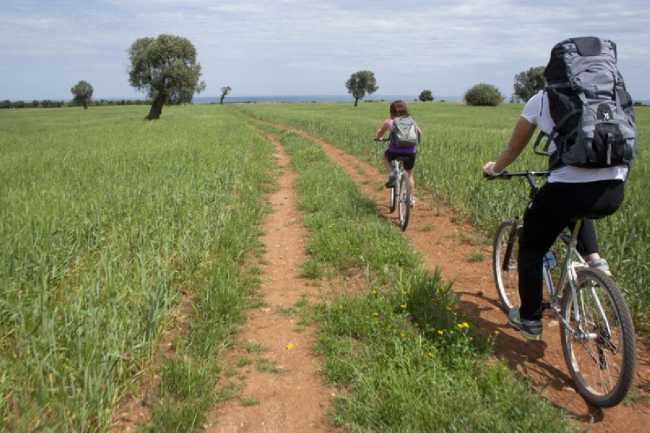 bici