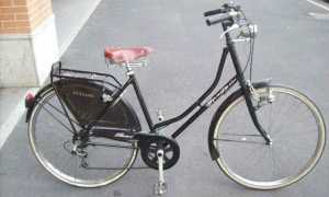 bicicletta holland