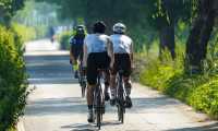 bicycle 8088372 640