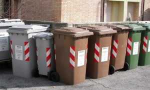 bidoni differenziata
