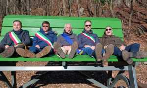 big bench cursolo 2