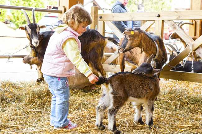 bimbo Mostra Capretto StudioRDS1