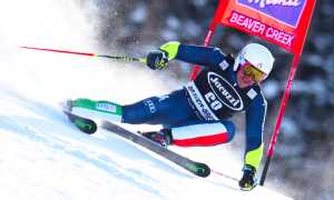 blardone bella beaver