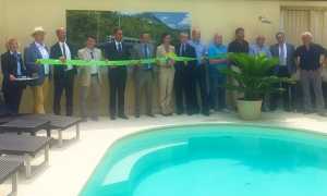 bls filo verde presentazione