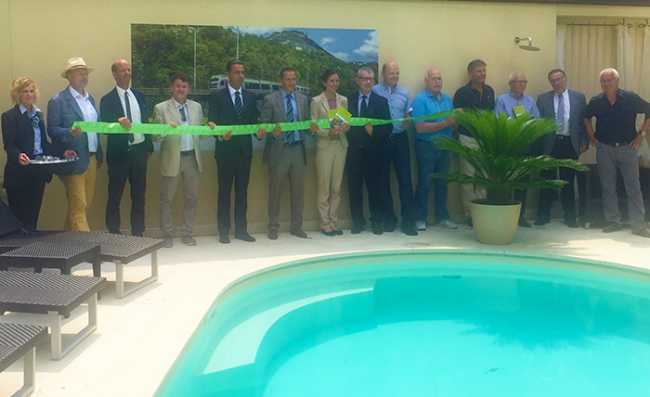 bls filo verde presentazione