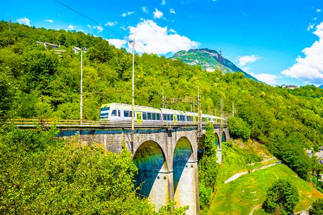 bls treno official