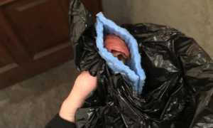 boccone avvelenato pallanza