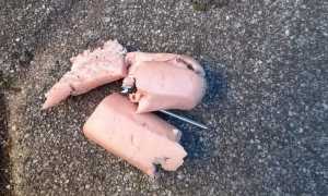 bocconi santanna due