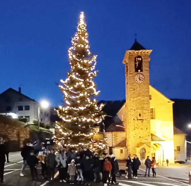 bognanco albero chiuesa natale