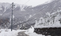 bognanco neve traliccio