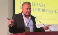 bongioanni