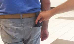 borseggiatore ladro furto