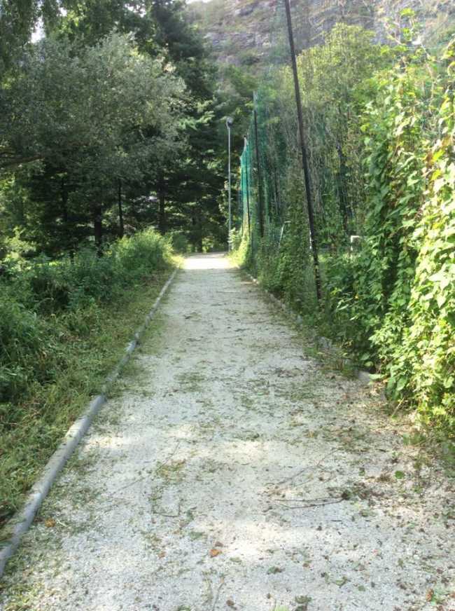 boschina pulita omegna