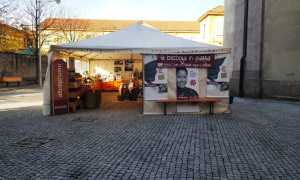 bottega piazza
