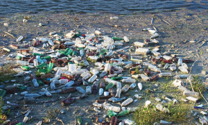 bottiglie plastica terra lago