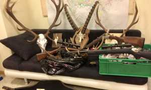 bracconieri svizzera fucili corna