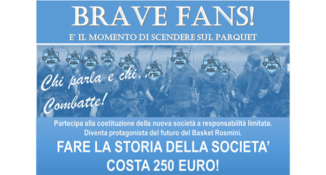 brave fans basket domo