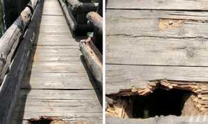 buca passerella lagotana