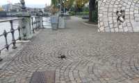 buco l lago gen