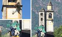 bue campanile grappolo masera