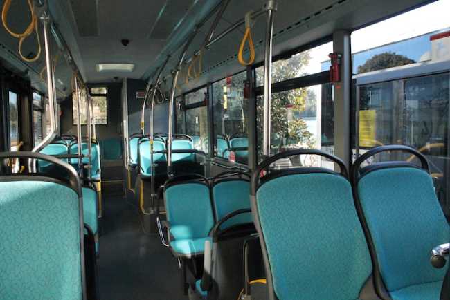 bus vco trasporti