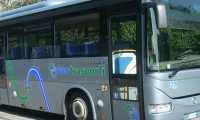 bus generico uno