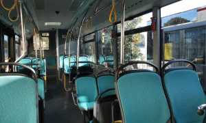 bus