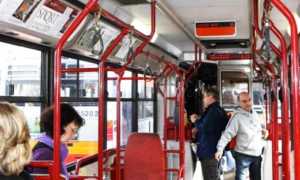 bus interno