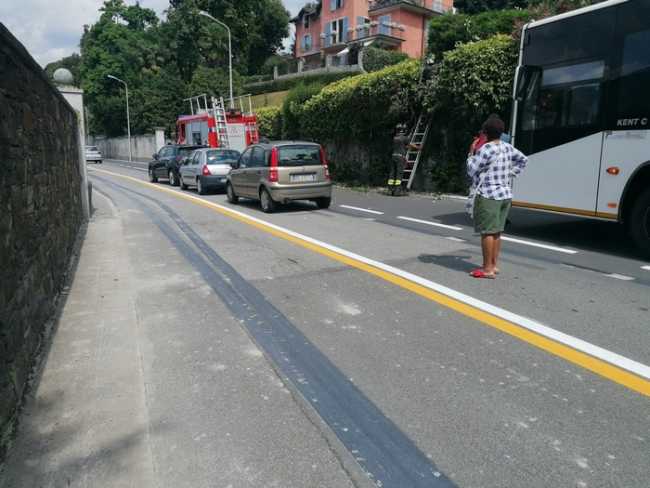 bus suna