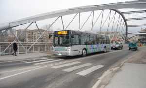 bus vco trasporti mag 16