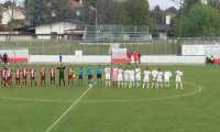 bustese vb