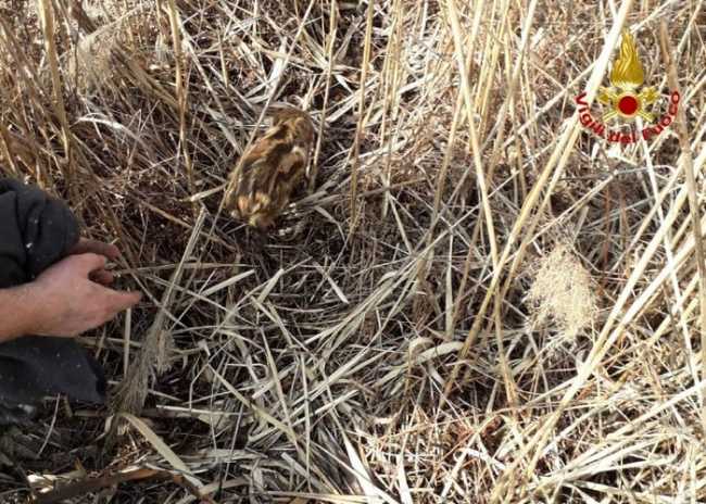 c057fdbe def0 4fc1 9db1 72d0876c5c94