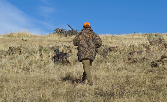 cacciatore cane salita