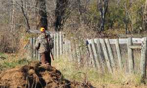 cacciatore mimetica fucile