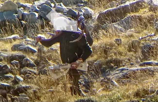 cacciatore sfrodo