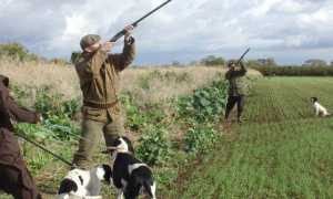 cacciatori 640x407