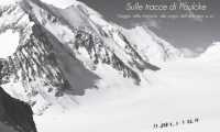 cai paulcke mostra