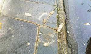 calcinacci marciapiede