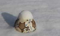 calcio palla neve