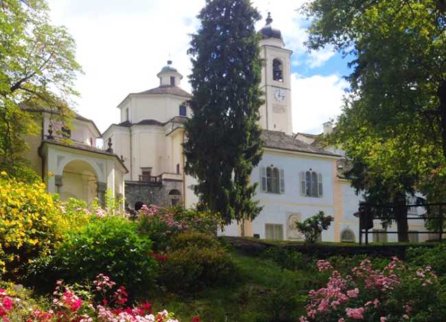 calvario fiori