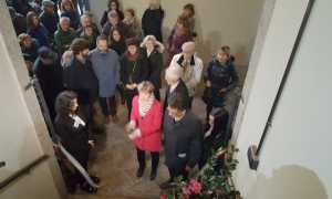 camelia invernale 1701