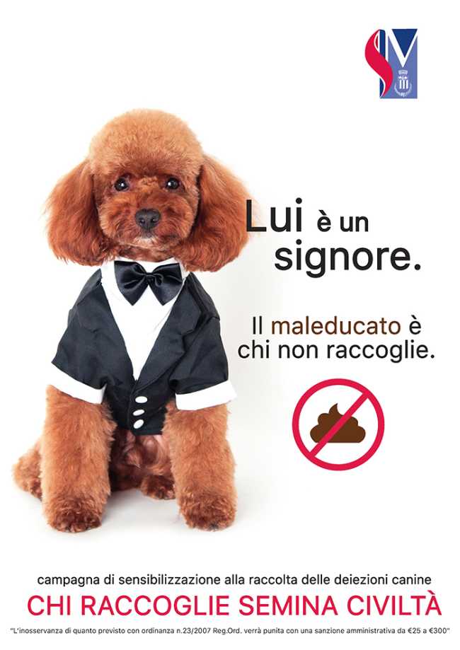 campagna cani smm