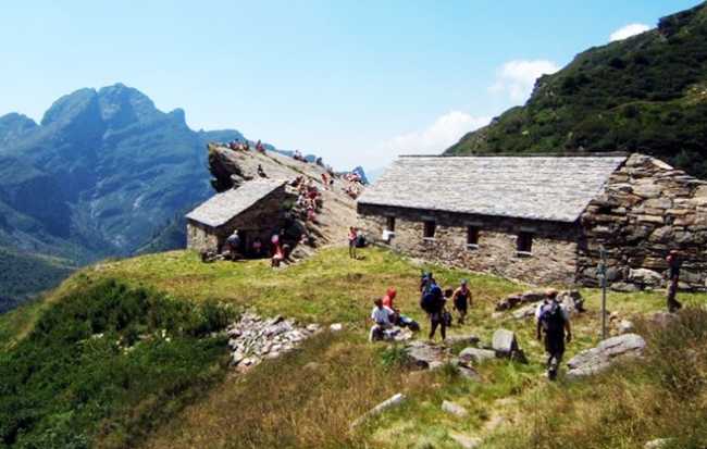 campi parco grande straolgio