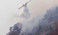 canadair malesco