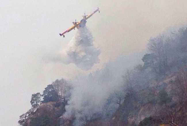canadair malesco