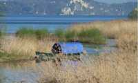 canale