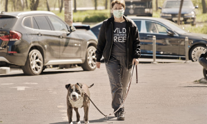 cane guinzaglio passeggiata mascherina