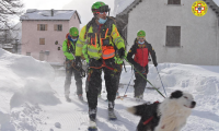 cane neve devero