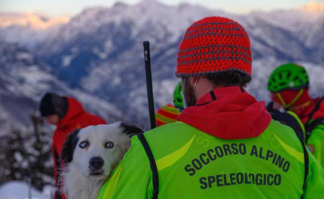 cane neve spalle uomini