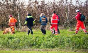 cane ricerche squadra vigna